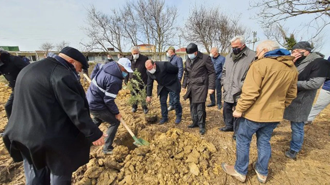 Rusya'dan sürgün edilenler anısına Kandıra'ya 300 zeytin fidanı