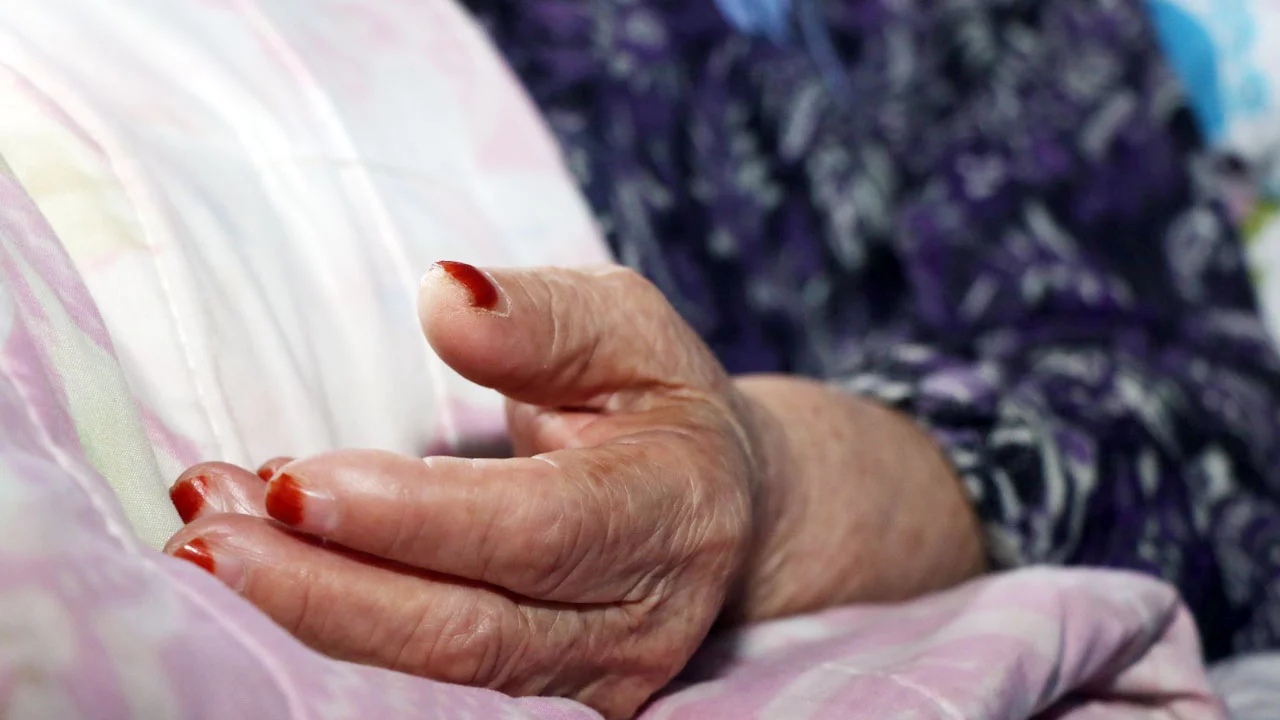 Kocaeli İzmit’te hasta refaketçi eğitimlerine başlandı
