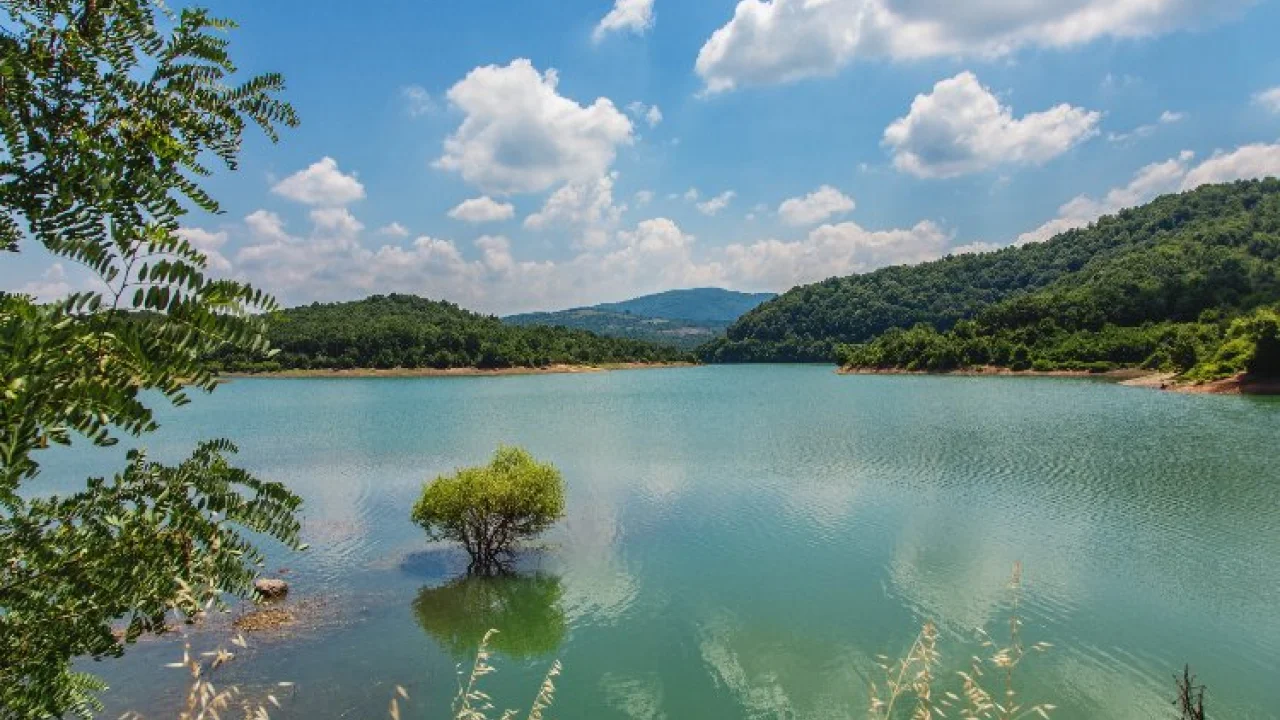 Yalova Gökçe Barajı'ndan sevindirici haber