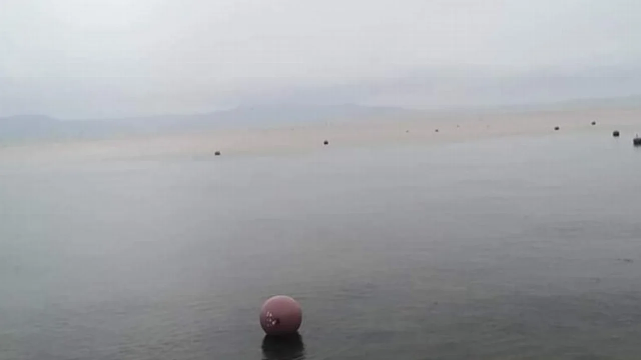 Bursa Gemlik'in müsilajla sınavı yeniden başlıyor!... -