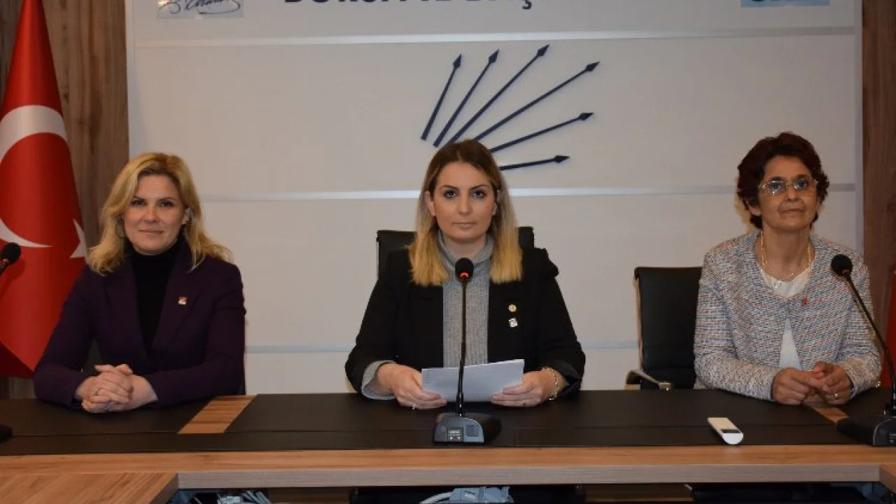 CHP'li kadınlardan Kabaş'a destek açıklaması -