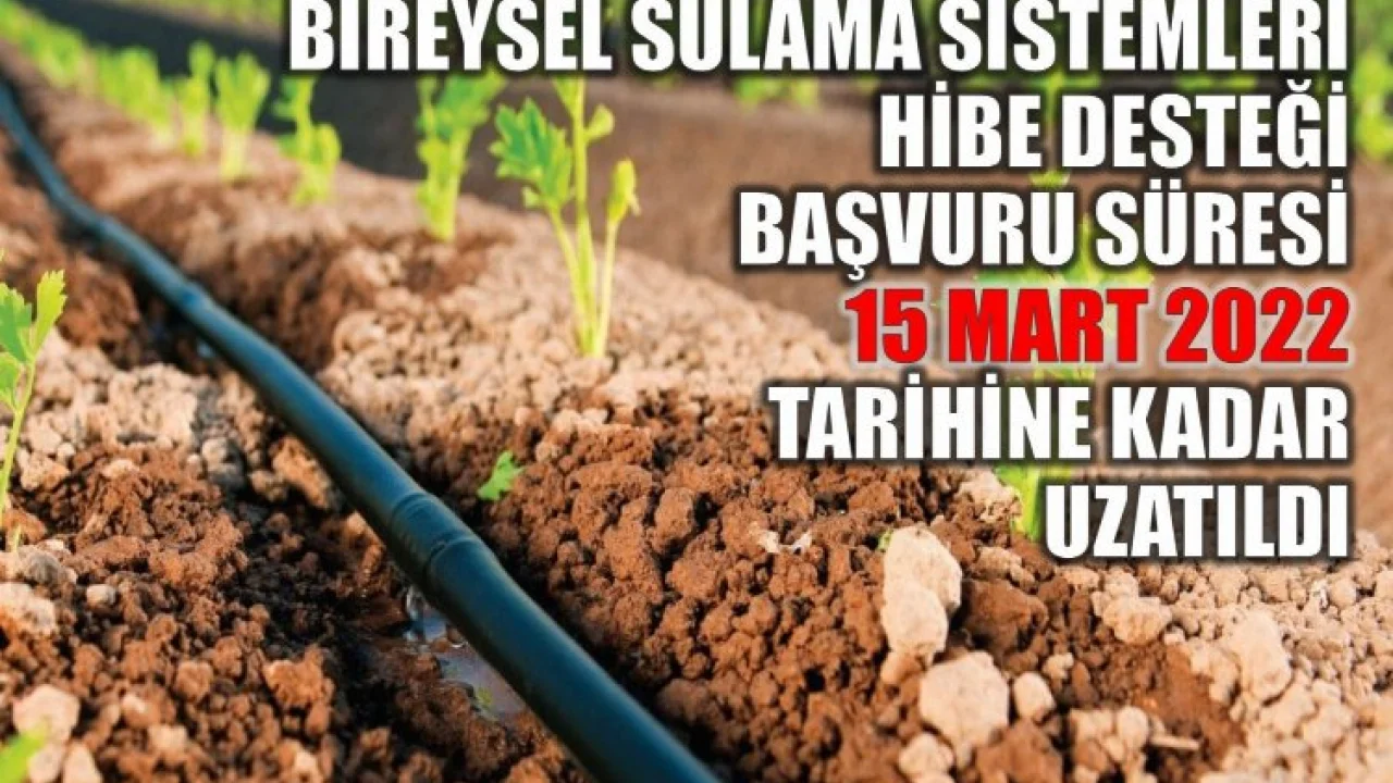 Hibe desteği başvuru süresi uzatıldı -