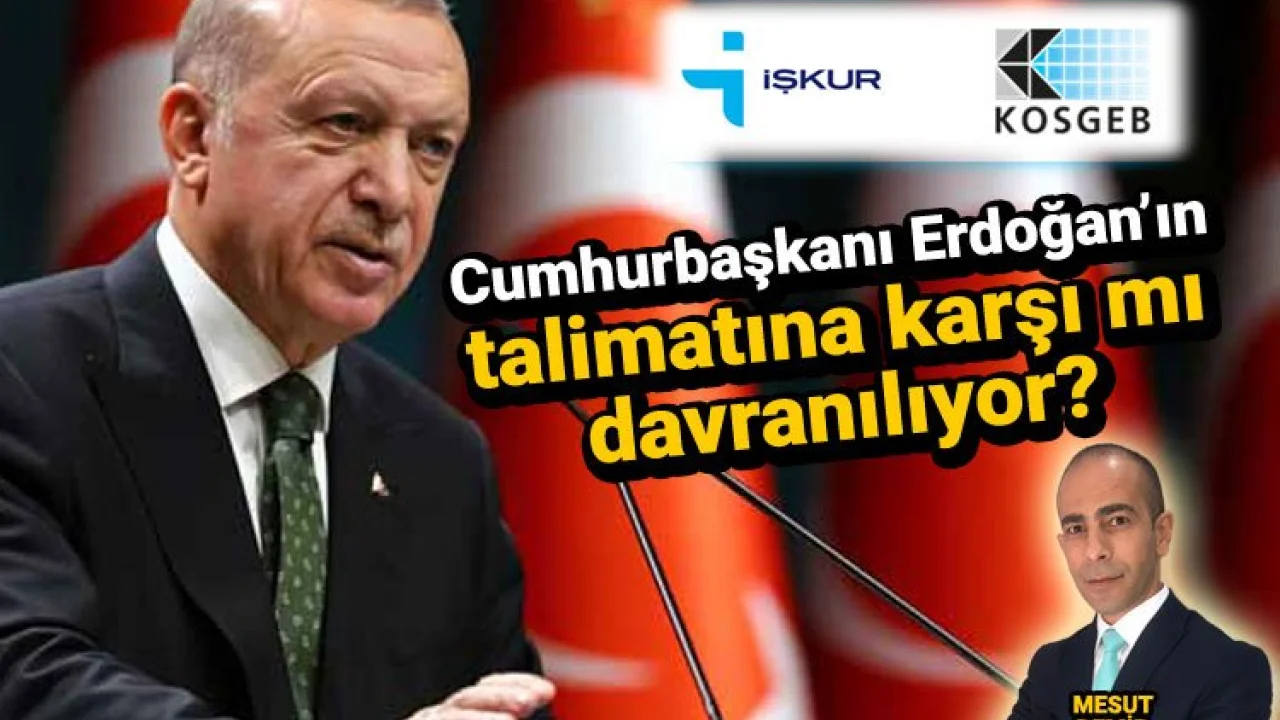 KOSGEB ve İŞKUR, Cumhurbaşkanı Erdoğan'ın talimatına karşı mı davranıyor? -