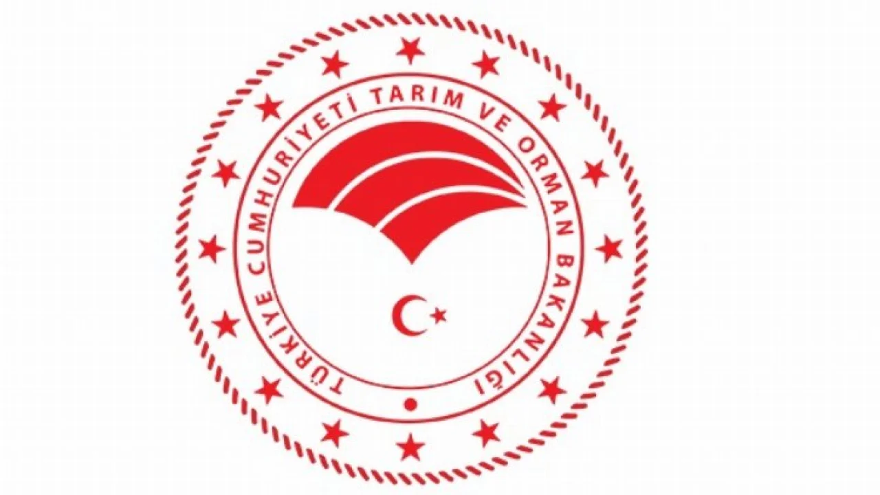 Tarım ve Orman Bakanlığı: "Buğday arzında sıkıntı yaşanmayacak" -