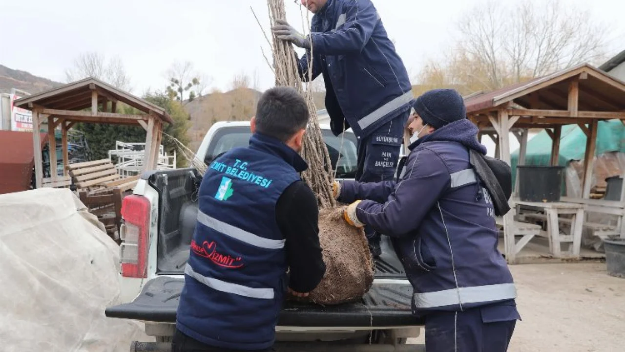 Kocaeli İzmit Belediyesi, ipekböcekçiliği projesini genişletiyor -