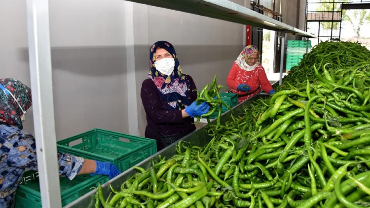 Migros, Bursa Yenişehirli üreticiden alım yapacak -