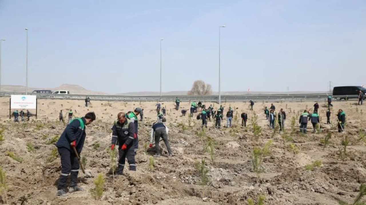 Kayseri Büyükşehir baharın gelmesiyle fidan dikimine başladı -