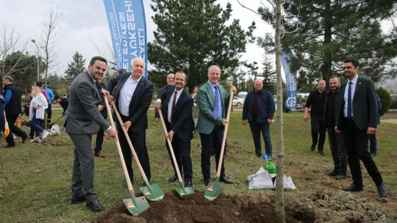 Kocaeli Başiskele'de ağaç fidanları toprakla buluştu -
