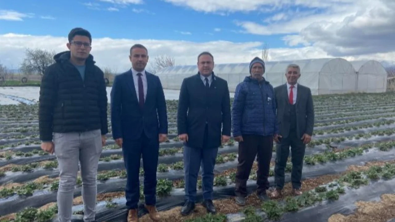 Niğde Altunhisar seraları incelemeye alındı -