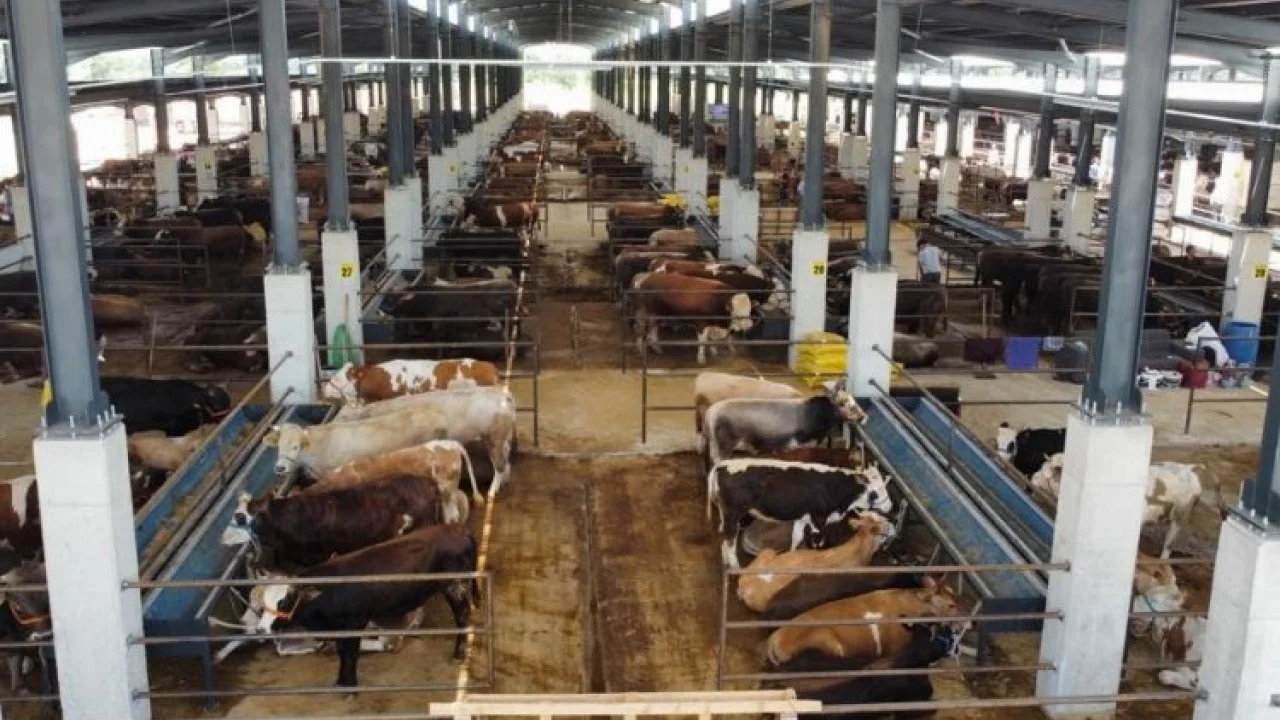 Bursa İnegöl Hayvan Pazarı kotra ihale tarihi belli oldu -