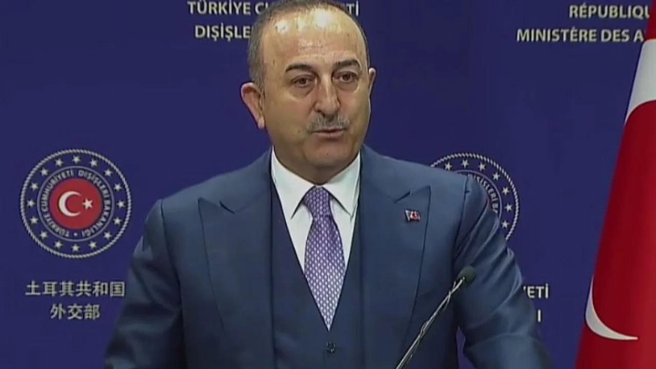 Çavuşoğlu: Mülteci ölümlerinde Yunanistan ve AB'nin sorumluluğu var -