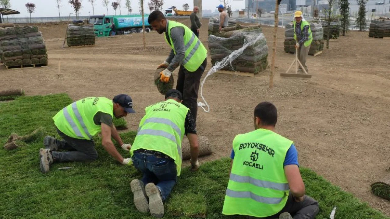 Kocaeli Şehir hastanesi yolunda çevre düzenlemesi hızlandı -