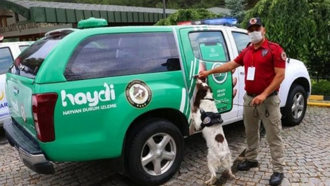 HAYDİ'yi 2 yılda 218 bin kişi indirdi -