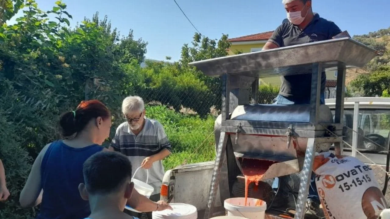 İzmir Efes Selçuk'ta salça zamanı... "Ezilenler domates olsun" -
