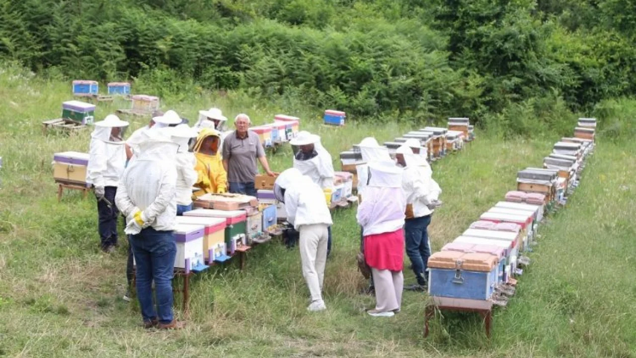 Arı yetiştiricileri ilkleri KO-MEK’te öğreniyor -