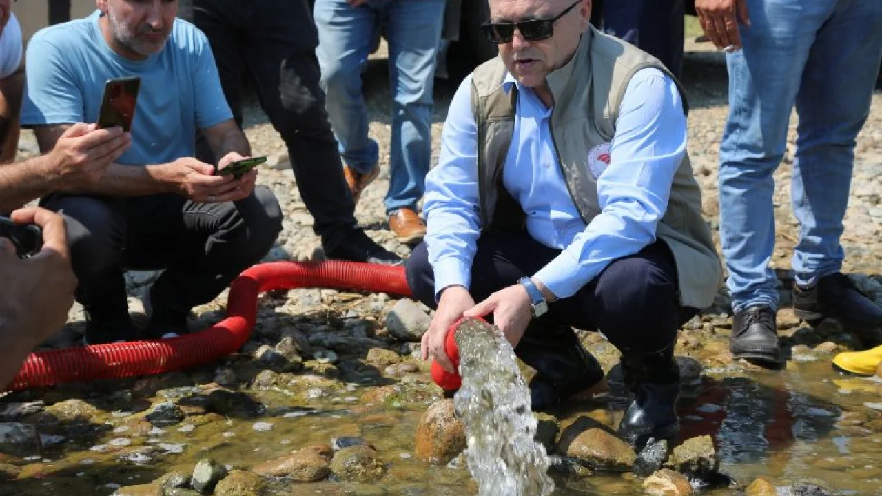 Bursa göletlerine 2,5 milyon sazan bırakıldı -