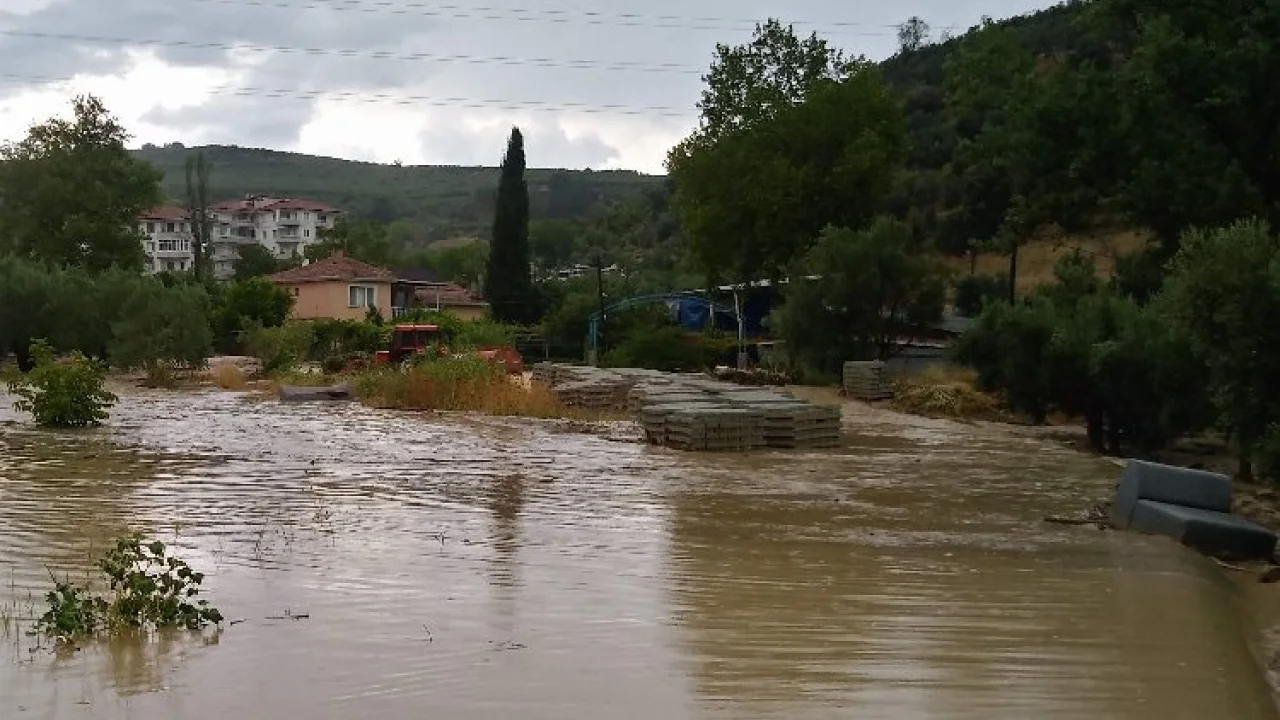 Bursa Mudanya'da 'sağanak' teslimiyet! 260 konutu su bastı, ağaçlar devrildi, dereler taştı! -