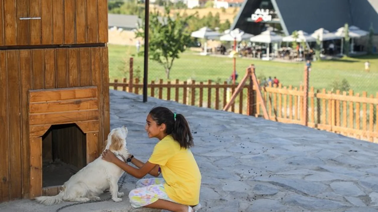 Çocuklara '360 Mini Çiftlik'te' hayvan sevgisi aşılanıyor -