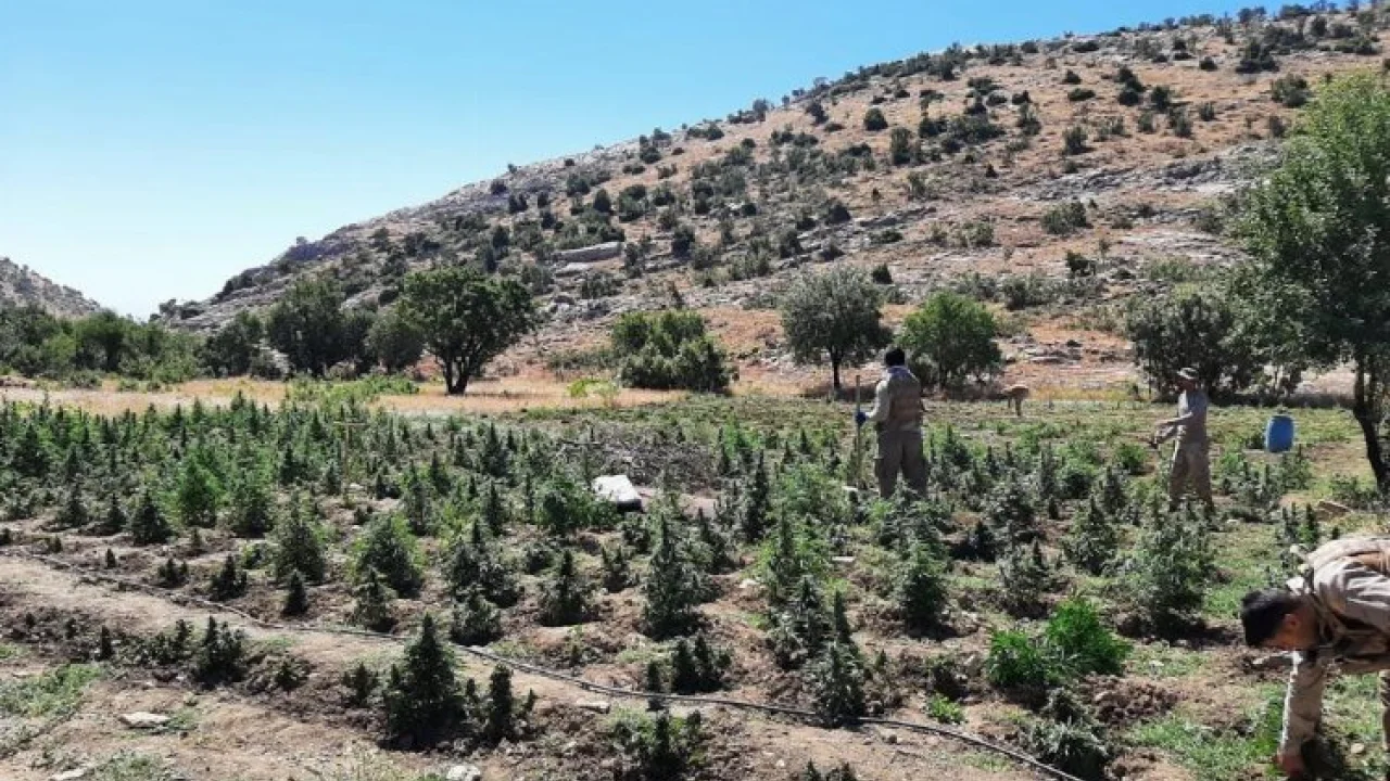 Terörün finansman kaynağına darbe -