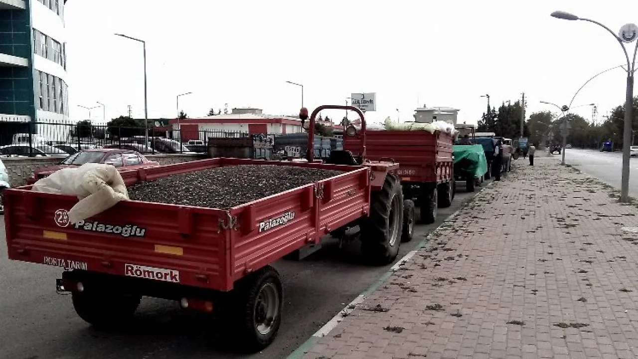 Bursa Yenişehir'de 'yağlı ayçekirdeği' için kuyruklar oluştu -