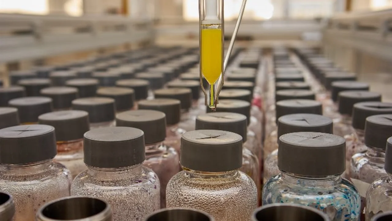 Sözal Kimya Dye+Chem Fuarı'nda ziyaretçilerle buluştu -