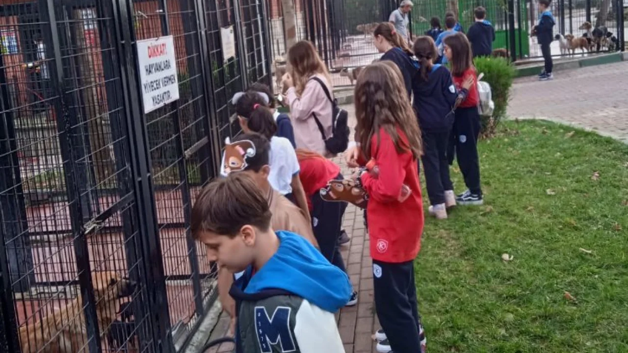 Bursa Osmangazi'de çocuklara hayvan sevgisi aşılanıyor -