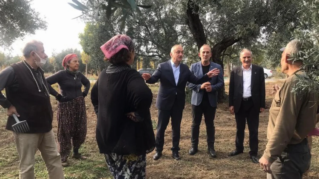 İYİ Partili Tatlıoğlu Bursa'da zeytin üreticilerine ses oldu -