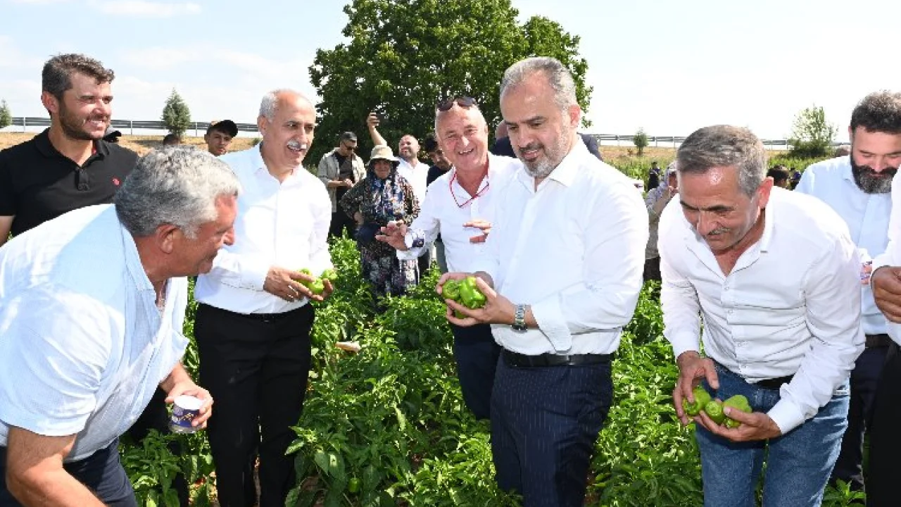 'Yenişehir Biberi' de tescili aldı... Bursa'nın tescilli ürünleri 24'e çıktı -