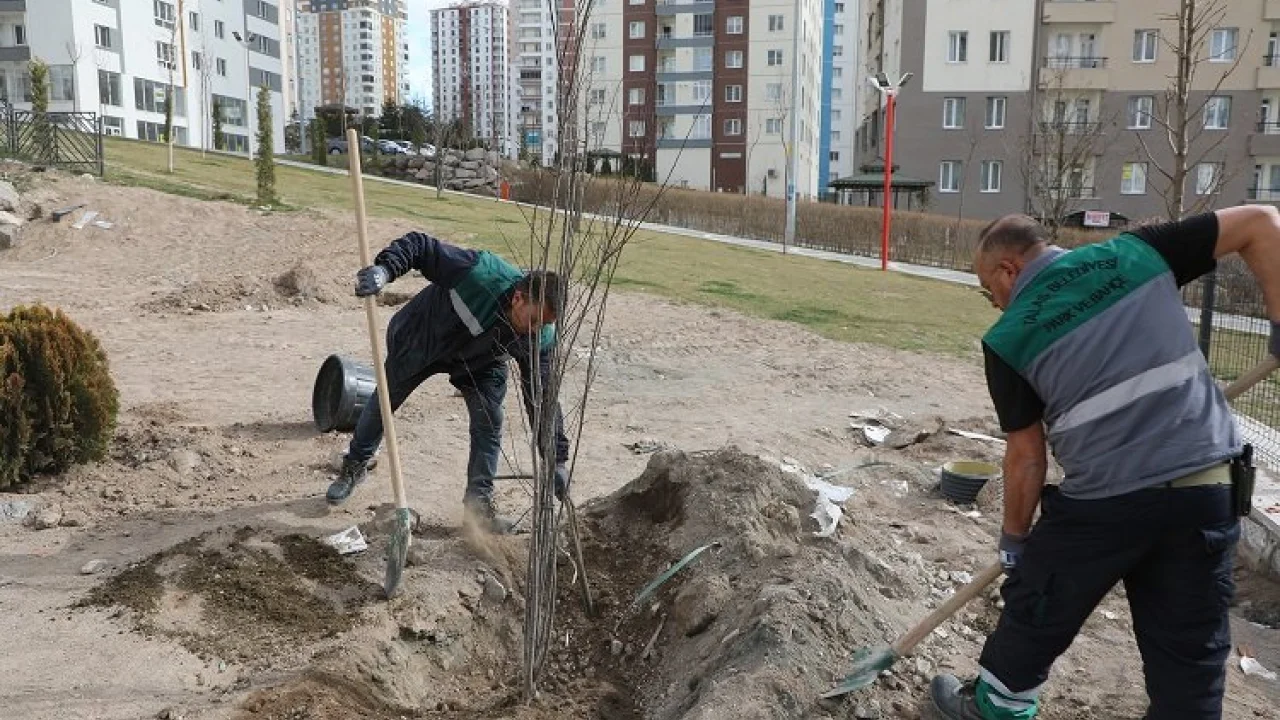 Kayseri Talas'ta ağaçlandırma sezonu açıldı -