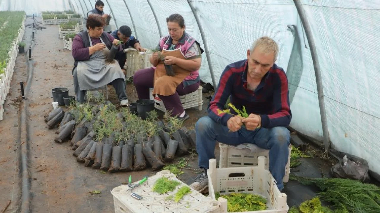 Diyarbakır Büyükşehir personeline 'fidan aşılama' eğitimi -