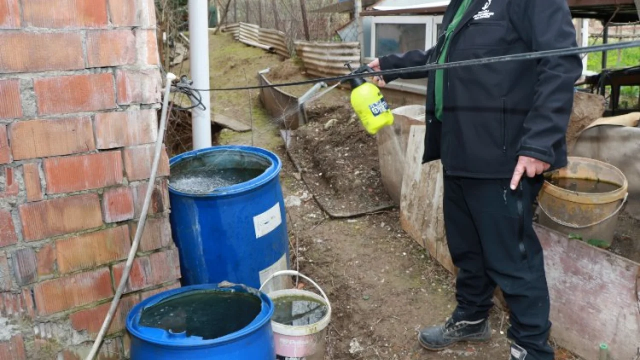 Kocaeli'de sivrisineksiz yaz hazırlığı -