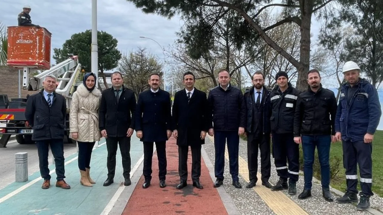 Sokak lambaları, kuşların yeni yuvası oldu -