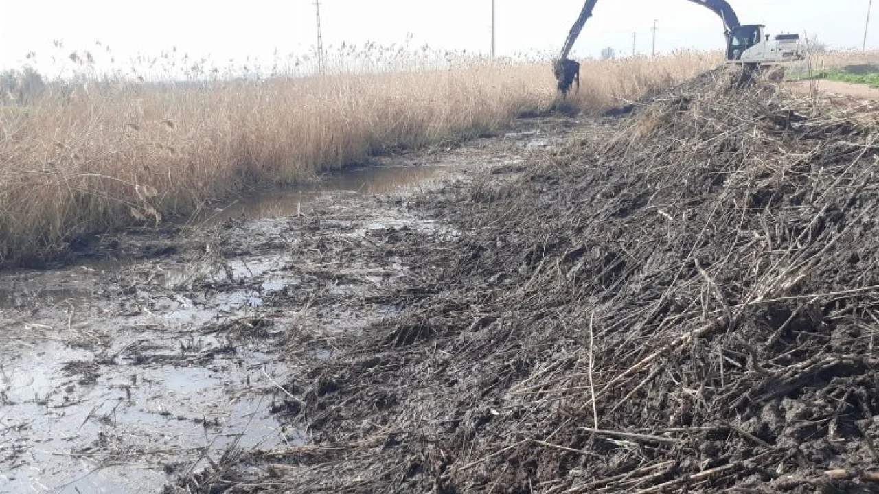 Derelere yaz temizliği -
