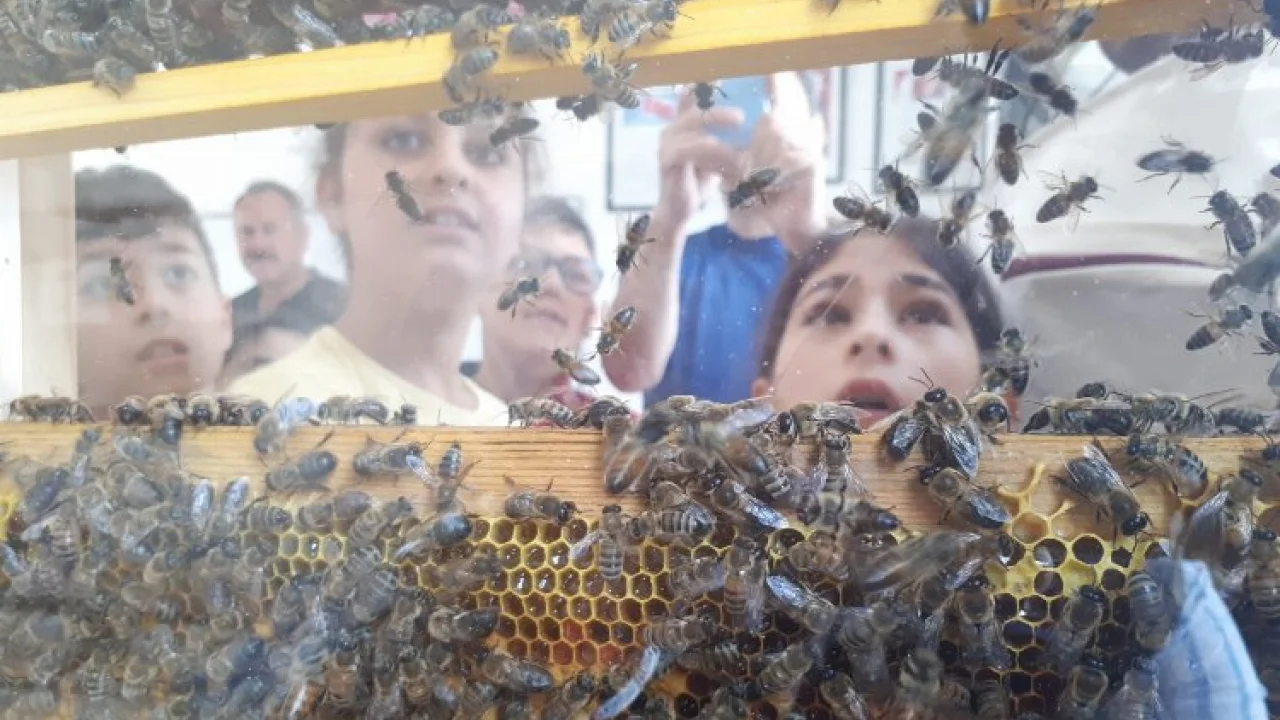Manisalı minikler arıların dünyasıyla tanıştı -