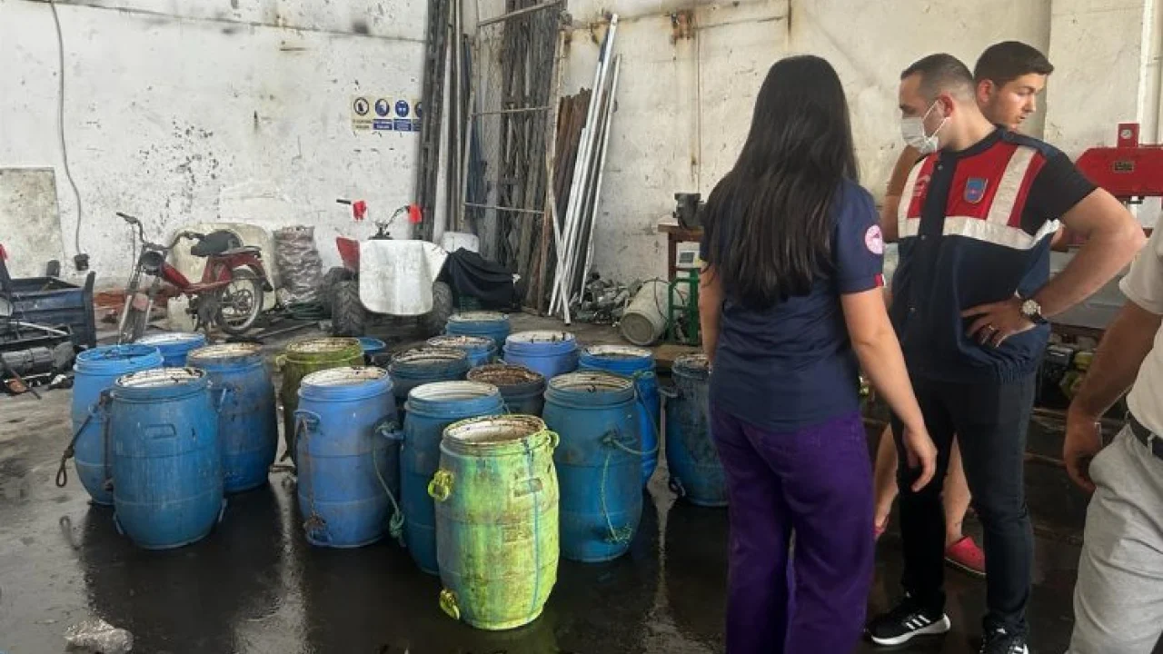 Yasadışı yollarla avlanan deniz patlıcanları denize salındı -