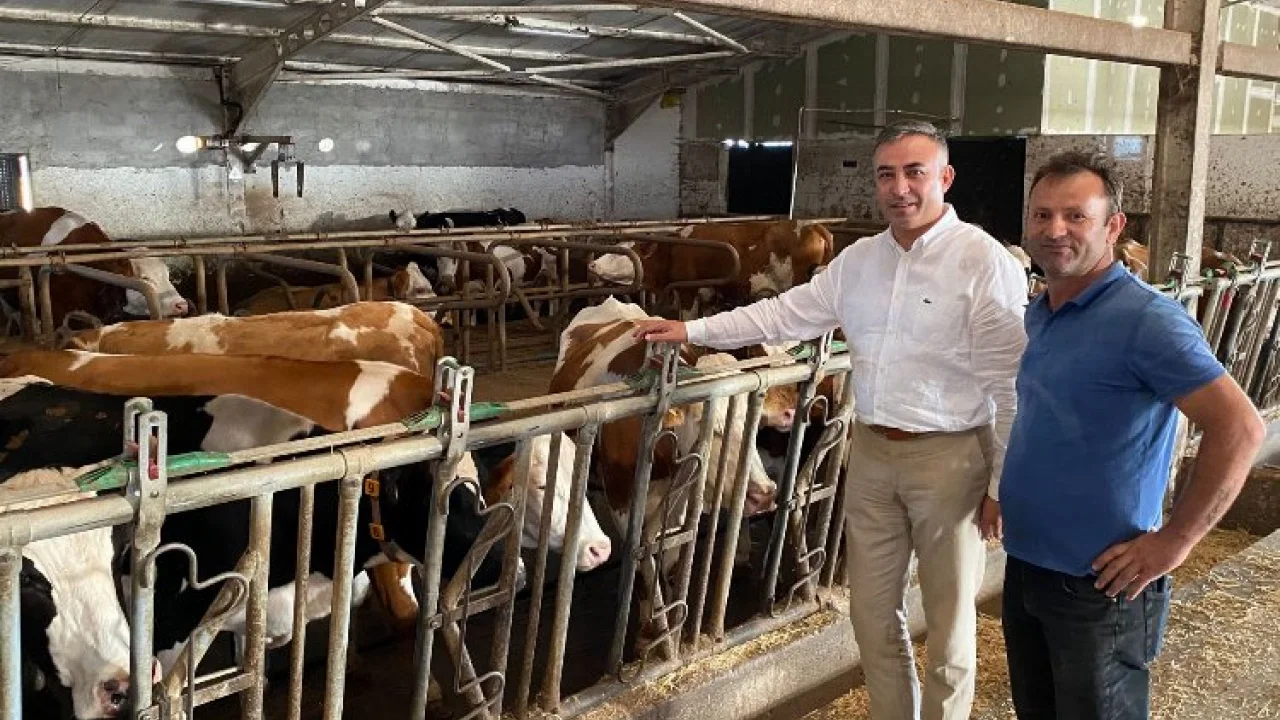 Çiğ süt fiyatı üreticiyi tatmin etmedi -