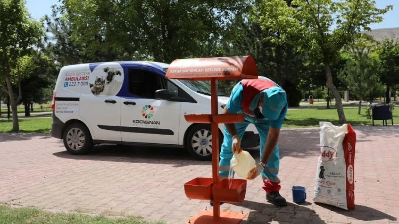 Kayseri Kocasinan'dan can dostlara destek -