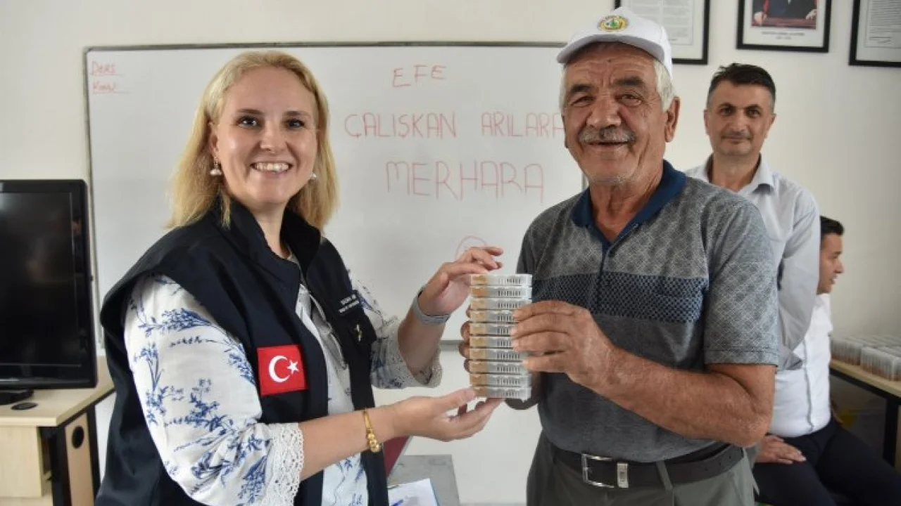 Manisa'da ana arıların dağıtımına devam -