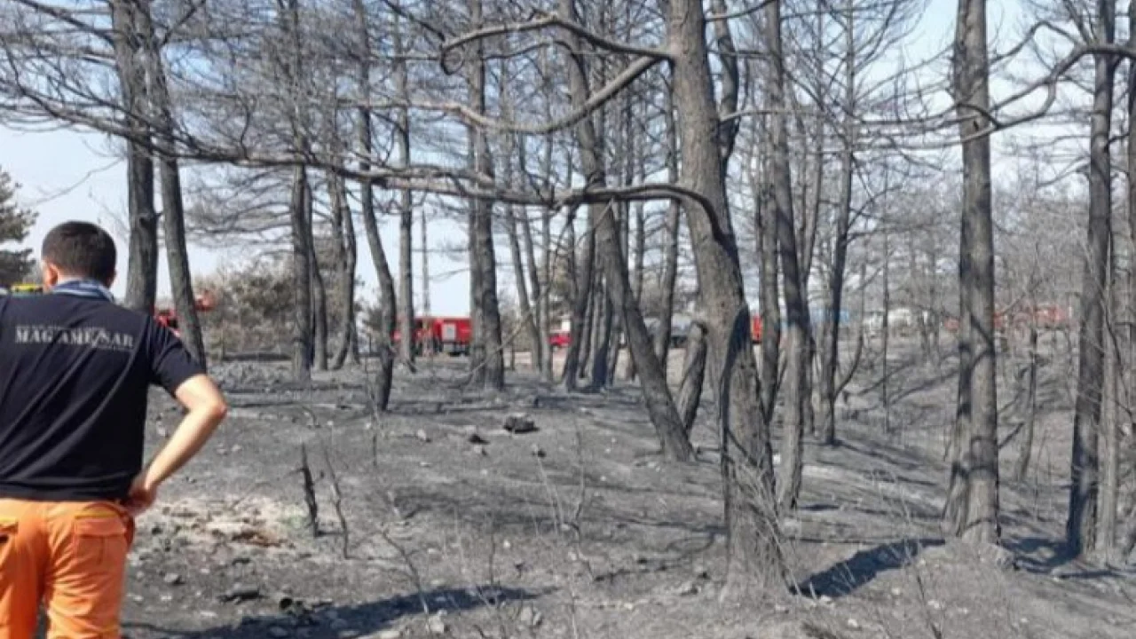 Beylikdüzü'nden Çanakkale'ye takviye -