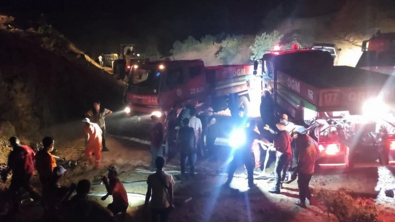 Bingöl'deki orman yangınında soğutma sürüyor -