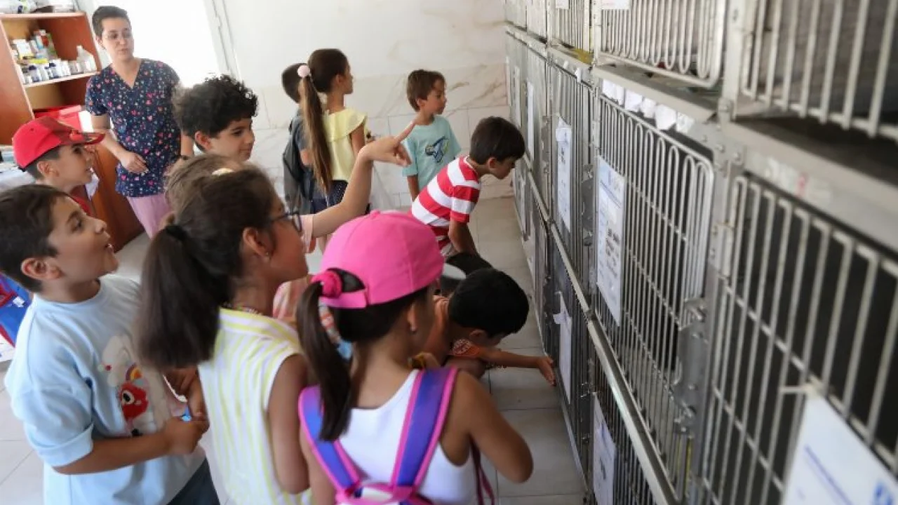 Bodrum'da öğrencilerden can dostlara ziyaret -