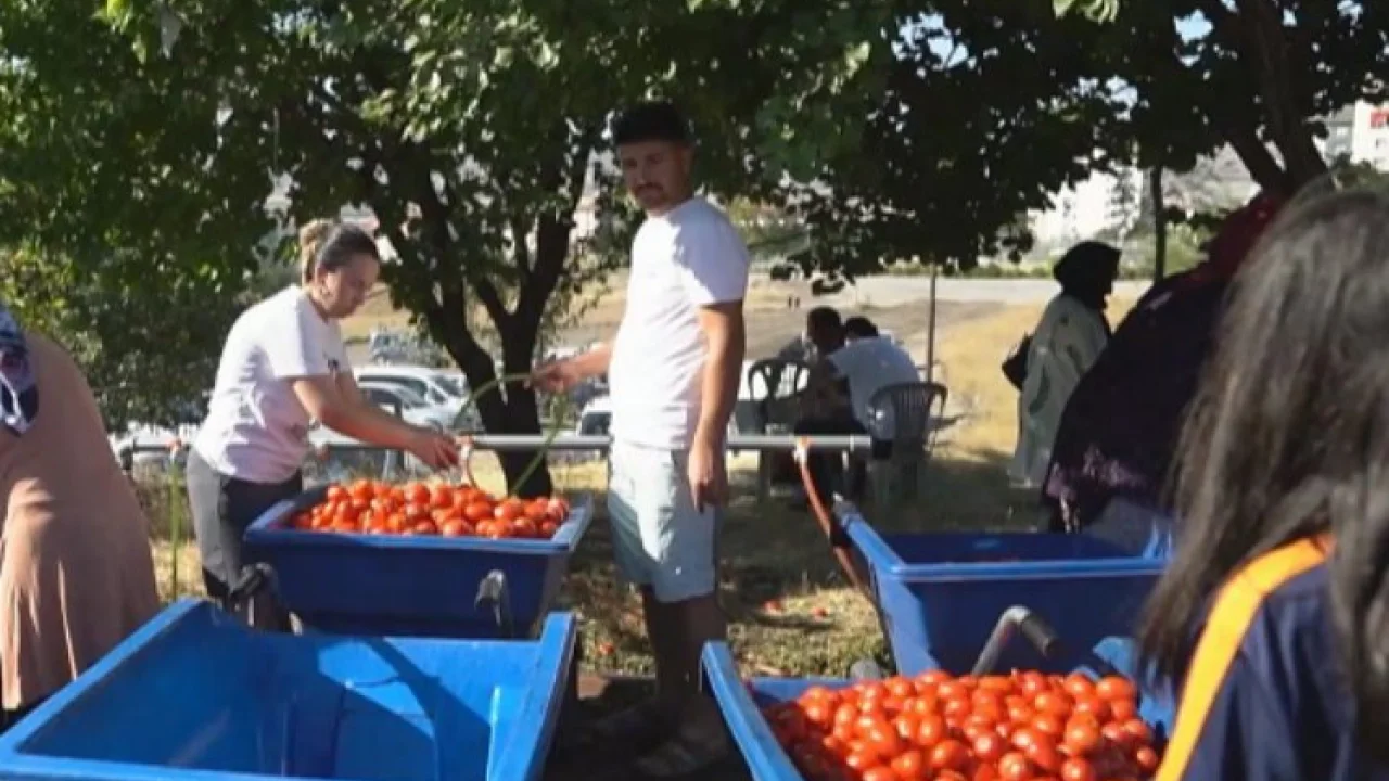 Kayseri Melikgazi'de Salça Kaynatma Günleri başladı -