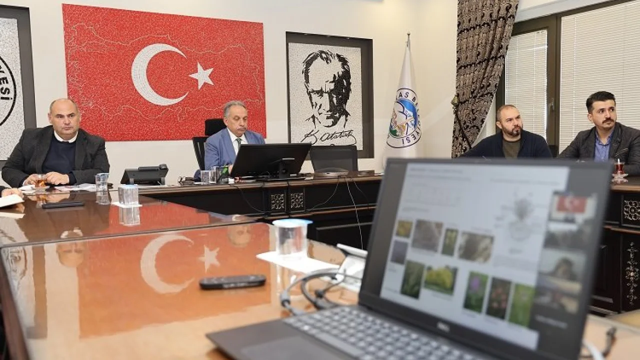Kayseri Talas'ta Karbon Yutak Alanı olacak -