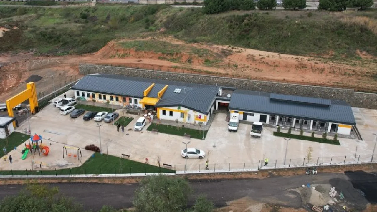 Çayırova'ya sokak hayvanları rehabilitasyon merkezi açılıyor -
