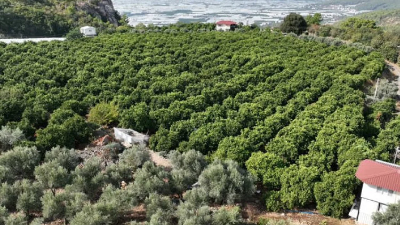 Kapalı devre sulama yüzleri güldürdü -