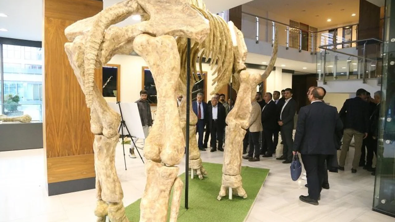 Kayseri Büyükşehir fosil faunasını canlandıracak -