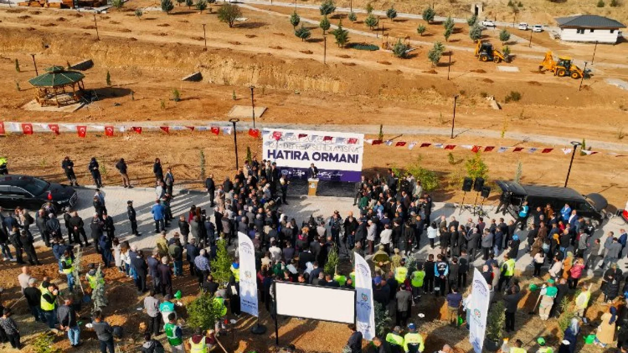 Malatya deprem şehitlerini bu ormanda yaştacak -