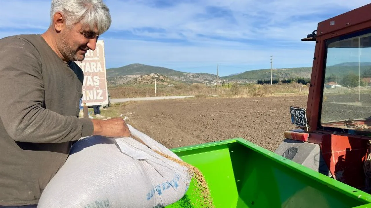 Milas'ta ata tohumları toprakla buluştu -