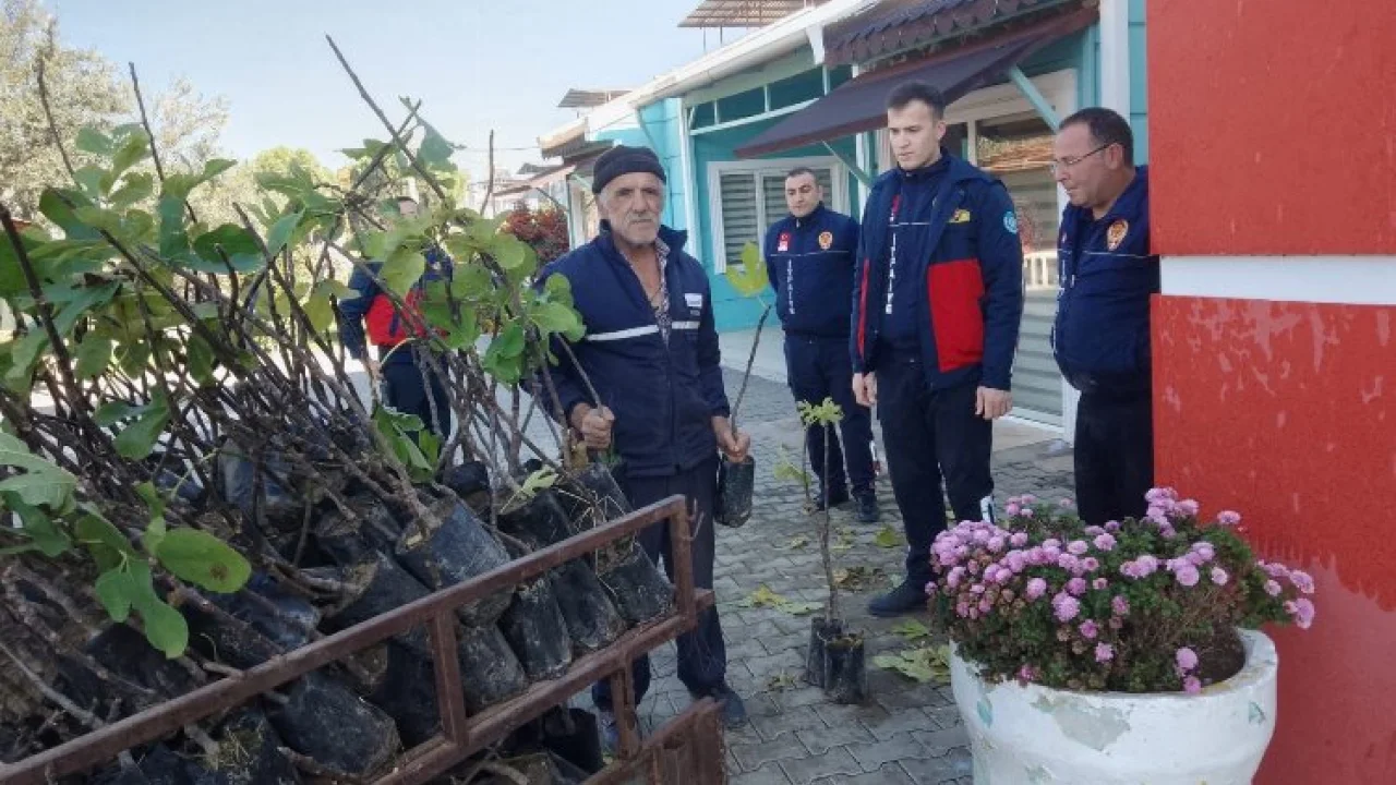 Manisa'nın 17 ilçesine 120 bine yakın meyve fidanı dağıtıldı -