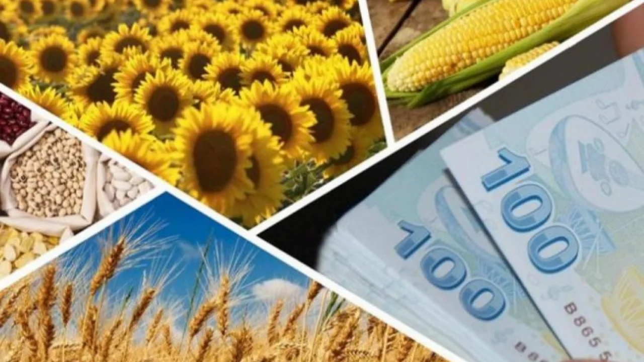 3,5 milyar liralık tarımsal destek ödemeleri yapılıyor -